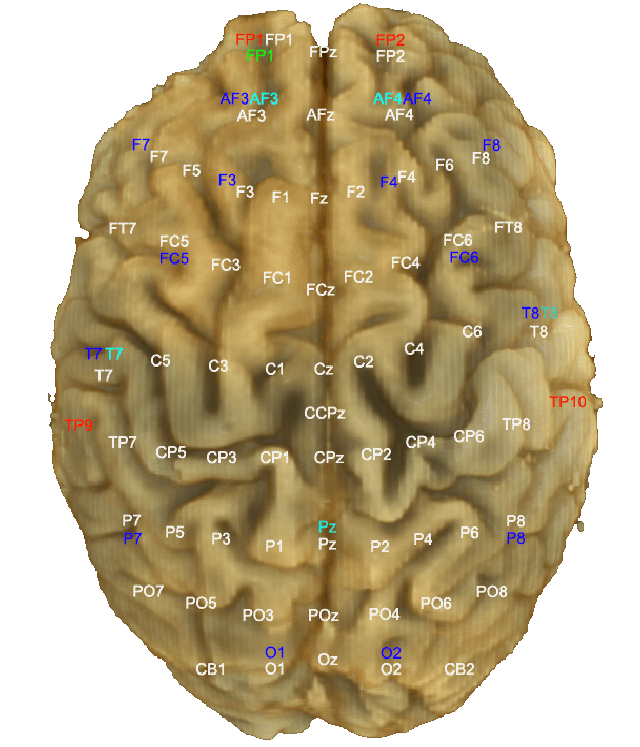 David Vivancos Brain 10/20 Locations