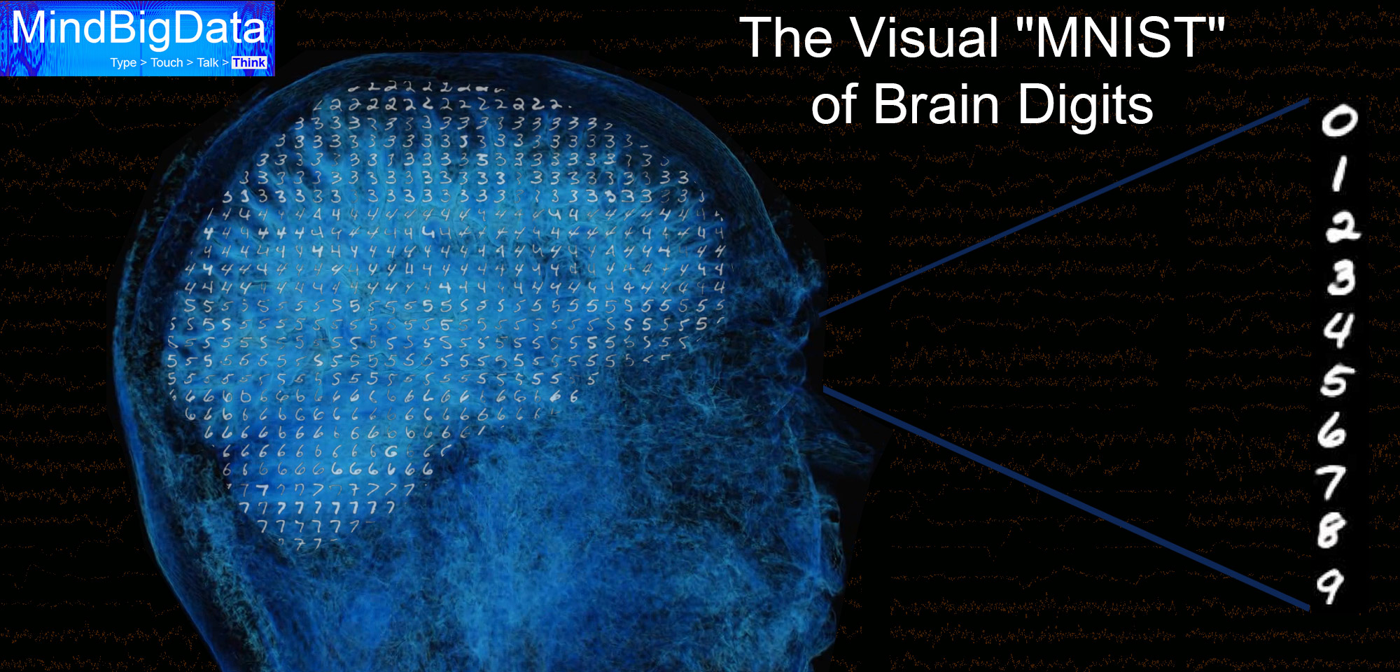 Visal MNIST of Brain Digits